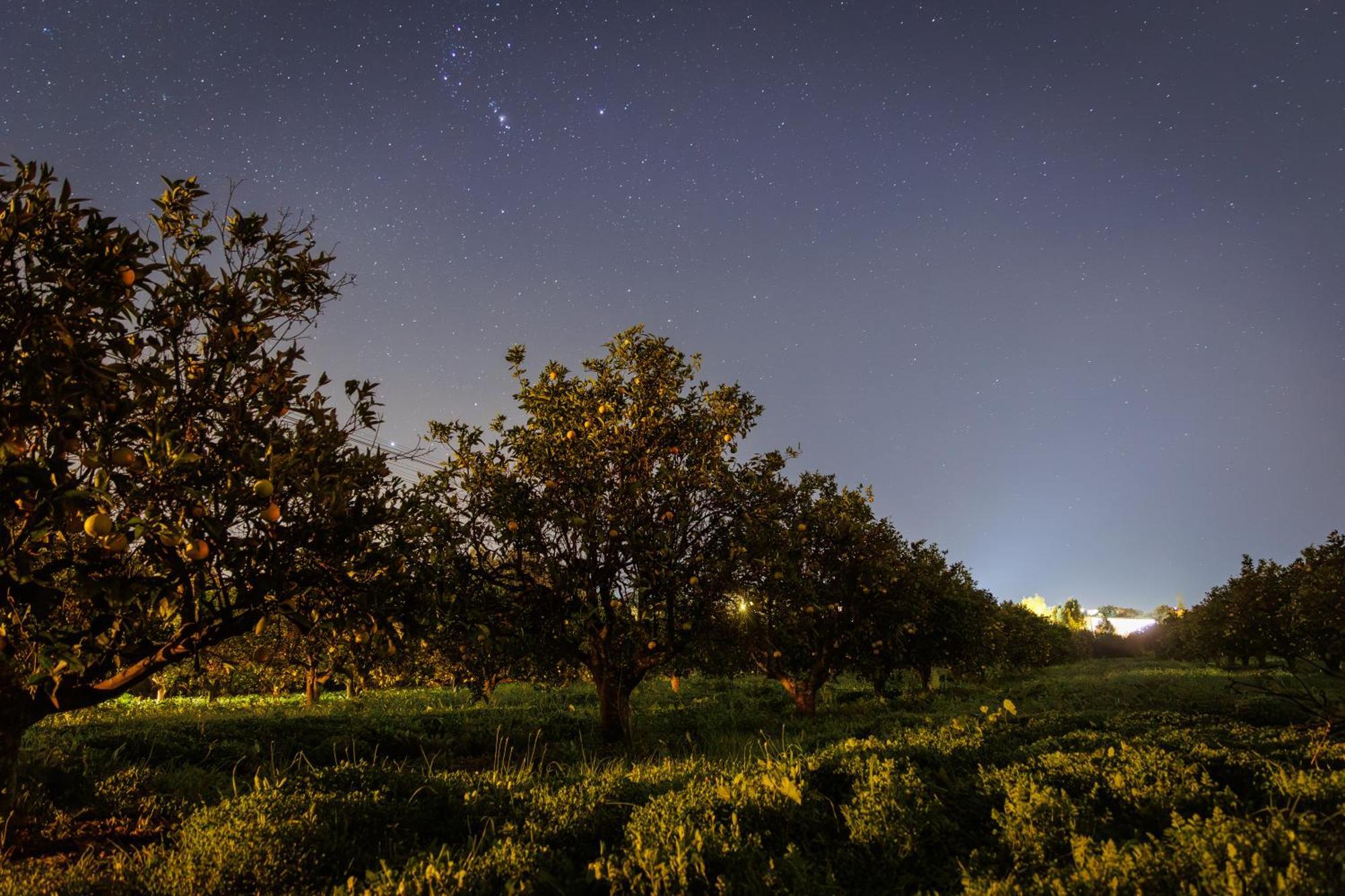 Laranjal Farm House มอนคาราปาโช ภายนอก รูปภาพ